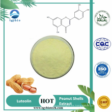 Extracto de conchas de maní de la mejor calidad 99% de luteolin en polvo